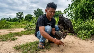 The Secret to Stronger Wings: Sandbag Resistance Training for Powerful Raptors