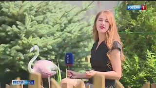 В Омске жильцы креативных дворов борются за звание дома с самым благоустроенным участком