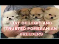 LIST Of Legit And Trusted Pomeranian Breeders
