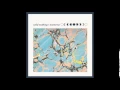 Download Lagu Wild Nothing - Shadow