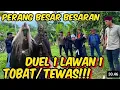 Lagu BANG REY LAMPUNG GUS ARYA PAMUNGKAS SHOCKED MAK LAMPIR WANTS TO REPENT @bangreylampung @gusarya
