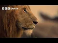 Download Lagu An Adventure Through Africa in 4K | BBC Earth