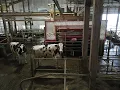 Download Lagu How Lely Robotic Milking System Works