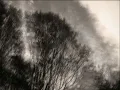 Straumnes - Sigur Rós