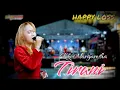 Download Lagu HAPPY LOSS - TIRANI - KIKY MARGARETHA - WEDDING DIMAS MBODEK \u0026 LINA SAFITRI