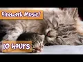 Download Lagu Music to Help Relax Your Cat from Fireworks, Loud noises, Parties - Help Frightened cat stay safe