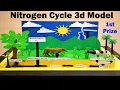 nitrogen cycle 3d model making science project diy howtofunda still model