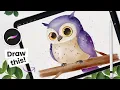 How To Draw A Watercolor Owl Procreate Tutorial