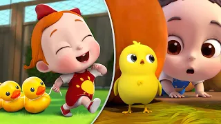 خمس بطات هالصيصان حيوانات للاطفال ليا وتشاتشا 