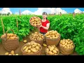 Download Lagu Harvesting 1000kg of Potatoes - Selling at Countryside Market - Bushcraft Farm Life