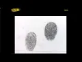 Evidence Collection - Fingerprints