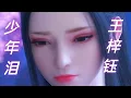 少年泪 ( Shao Nian Lei) By 王梓钰 (Wang Zi Yu) (Lyrics)