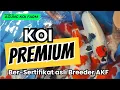Lagu 🐟💎 JUAL KOI PREMIUM BODY BADAK‼️ BERSERTIFIKAT RESMI AKF KEDIRI 🔥 POSTUR LEBAR \u0026 BERPUNUK TINGGI‼