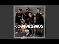 Lagu Cogil mbledhos INS