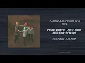The Callous Daoboys - The Elephant Man In The Room (Official Lyric Video)
