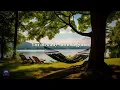 Gavin Adcock & Vincent Mason - Almost Gone / Lyrics