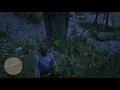 Location Guide Read Dead Redemption 2 Chicks Treasure Map