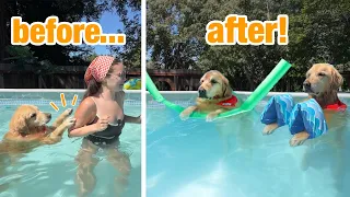 I've tried EVERYTHING to stop my dog from scratching me in the pool