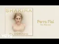 Download Lagu Shakira - Perro Fiel (Audio) ft. Nicky Jam