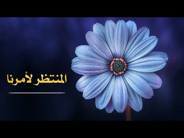 ⁣حديث | المنتظر لأمرنا