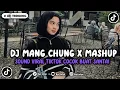 Download Lagu DJ MANG CHUNG X MASHUP VIRAL TIKTOK YANG KALIAN CARI !