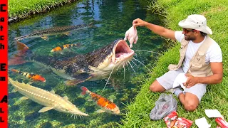 FEEDING TIME in My Pet MONSTER FISH Backyard RIVER! **Crystal Clear Water**