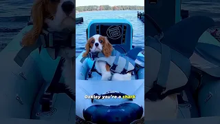 We’re back on the water 💦😅 #kayaking #adventures #liveyourbestlife