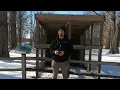 Meet Radar the Great Horned Owl