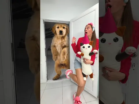 OMG Can Player escape from the Lion?