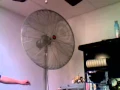 Dayton Industrial Pedestal Fan