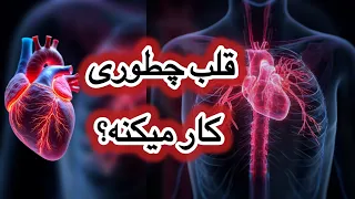  قلب انسان چطور کار می کنه    شگفتی سیستم گردش خون به زبان ساده  دندنها