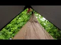 Download Lagu Warm Inside, Wild Outside | Relaxing Hot Tent Rain Camping Ambience