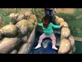 JUNGLE JAVA FUN TIME ADVENTURE