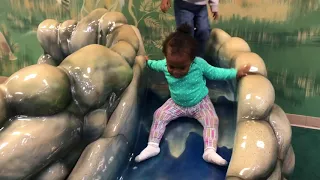 JUNGLE JAVA FUN TIME ADVENTURE