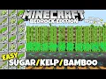 Minecraft Bedrock EASY Kelp Farm 180 000 Tutorial MCPE Xbox PC Ps4