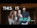 I Bought the Legendary Stallion VS Code Red