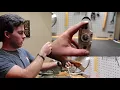 Gracoil recoil reduction system