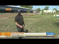 River Fox Train