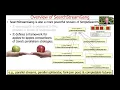 Overview of the Java Sequential SearchStreamGang Case Study