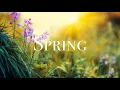 SPRING Free Stock Footage Free - no copyright