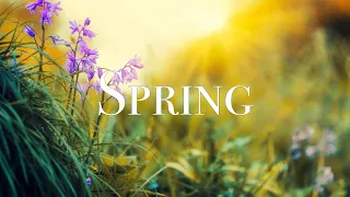 spring video free stock footage free hd video no copyright