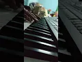 Lagu Gugur bunga ( piano )