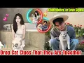 Download Lagu BREAKING NEWS, Bai Lu and Zeng Shunxi Spotted Sharing the Same Cat, Are They Living Together?