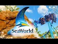 2026 SeaWorld Orlando Guide 12 SECRET Tips for YOUR First Visit