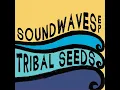 In Your Eyes - Tribal Seeds