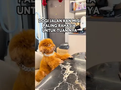 Misi paling rahasia dari tuan🫣 #shortsvideo