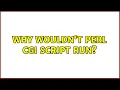 Unix Linux Why wouldn t Perl CGI script run