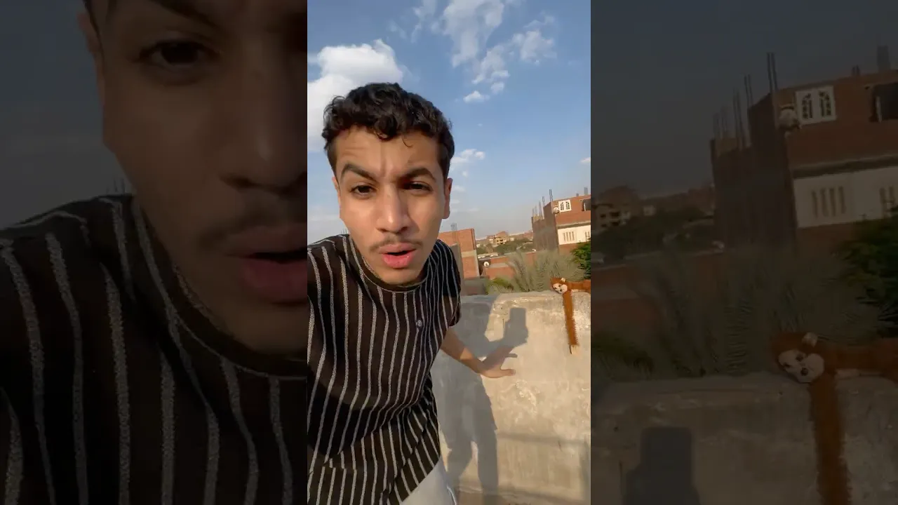 هروب القرد😱💔