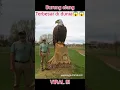 Download Lagu Burung elang terbesar di dunia!!? #hewan terbesar #burungterbesar #shorts #birds