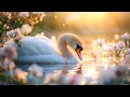 Download Lagu Самая красивая мелодия на свете! Музыка Для Души🌿 Сергей Грищук музыка#musicforthesoul #207